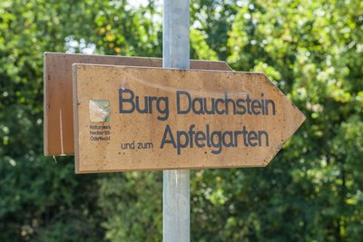 Sperrung des Wanderweges zur Burg Dauchstein